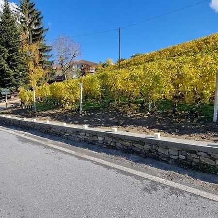 Ferienwohnung Ca Ed Giuanoto Santo Stefano Belbo Exterior foto